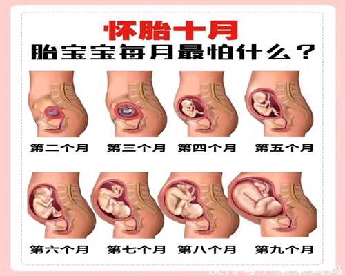 广州助孕价格表：孕妇能不能吃甜胚子
