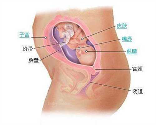 广州代怀小孩哪家好_产后新妈妈饮食的15个秘诀
