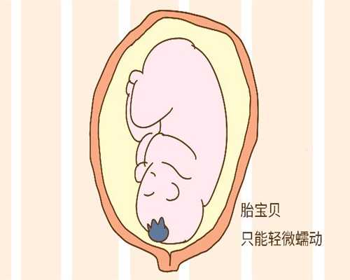 去广州代孕多少钱_女性备孕期间应该吃什么