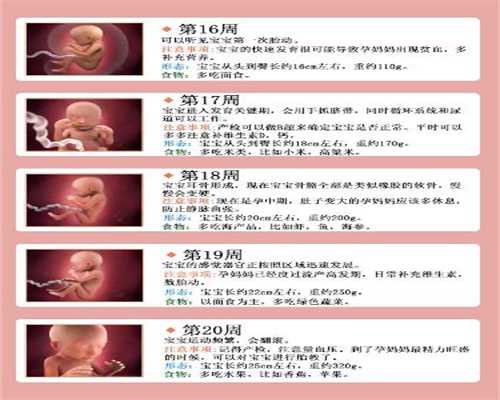 广州代孕生个孩子多少钱_孕晚期为什么要查肝肾功能