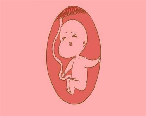 广州代孕网看福婴国际_孕期能不能吃草莓
