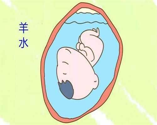 代怀孕多少钱 2020广州_刚刚怀孕能不能吃螃蟹