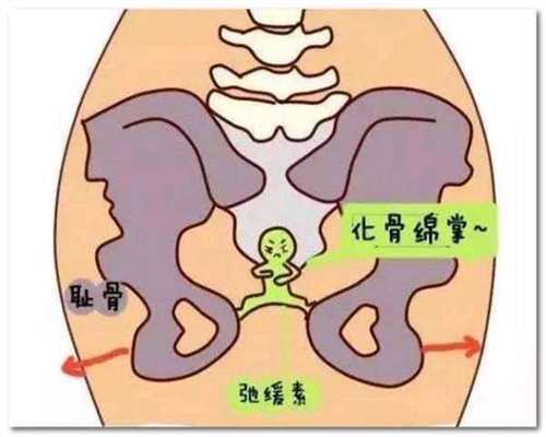 广州代生儿子一键咨询_做试管婴儿的过程