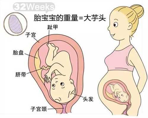 广州专业代孕网_怀孕能不能吃香椿头