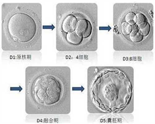 广州合法代孕机构_38周喝绿豆水去胎毒吗