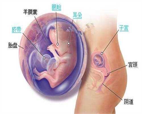 广州代孕详细过程_小儿麻痹症会不会传染 治疗有方法