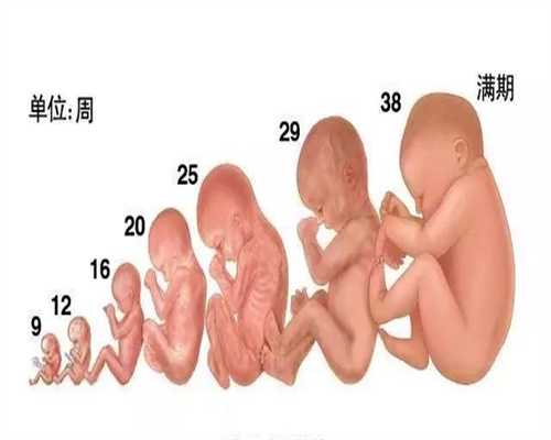 2020年广州代怀孕价格_孕前合理补充营养 生个聪明宝宝