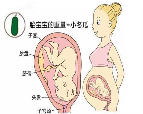广州代孕生孩子多少钱_孕妇吃维生素C有没有副作用