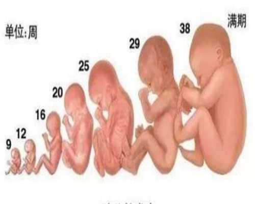 广州代孕男孩多少钱_坐月子喂奶姿势有哪些 喂奶的四种正确姿势