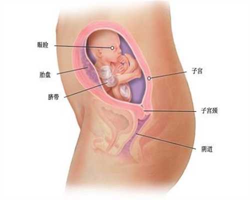 广州代孕孩子费用_绿豆汤消暑佳品 孕妇食用要看体质