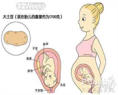 广州代孕产子要多少费用_新生儿鼻塞怎么办 妈妈护理有妙招