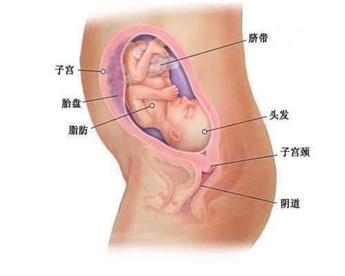 广州代怀孕助孕价格_宝宝冷暖自知 谨防婴儿捂热综合症