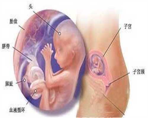 广州代孕需要多少费用_孩子长个有规律 长个时期要吃好