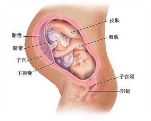 广州代孕网代生孩子公司_婴儿缺锌的几种自测方法