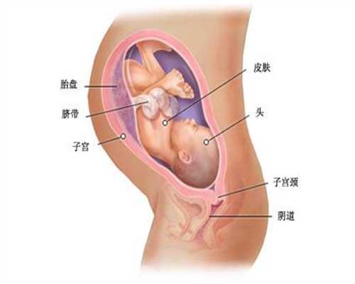 广州代孕医院价格多少_备孕期间老公注意事项有哪些 备孕饮食怎么补充