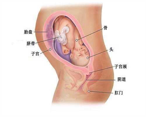 广州代孕多少钱代一个_验血能查出宫外孕吗 有并发症吗