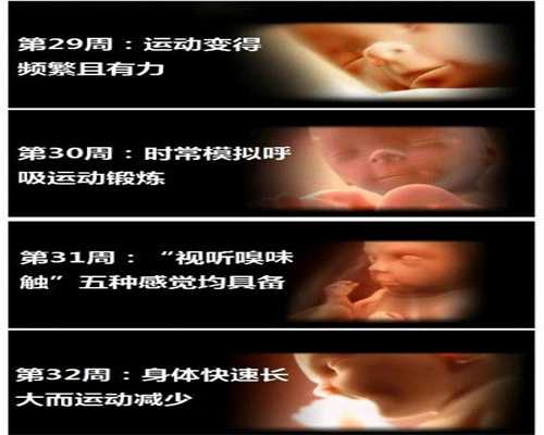 广州合法代孕需要多少钱_宝宝早期少不得维生素B1