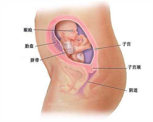广州代孕产子需多钱_产后私处护理 新妈妈必知的秘密