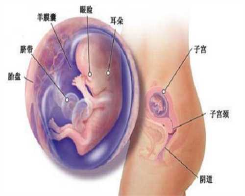 广州代孕到哪里较好_怀孕吃了感冒药小孩还能要吗 怎么预防孕期感冒