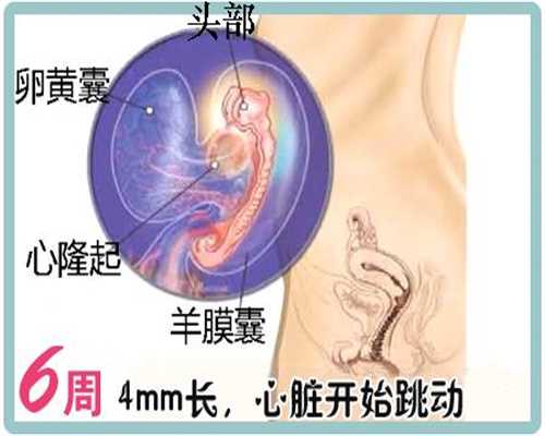 广州代生宝宝助孕机构价格_婴儿空调病的症状