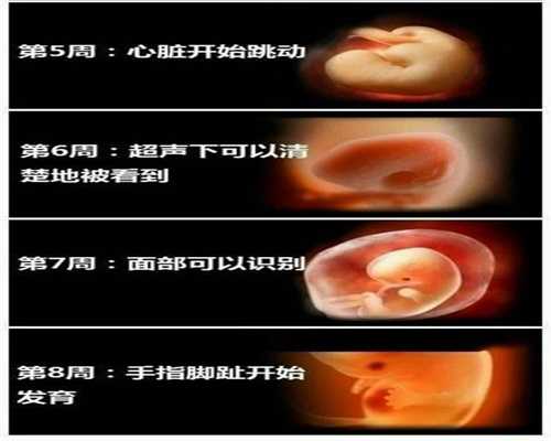 广州东方助孕网_孕妇小便泡沫的原因
