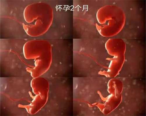 广州代孕包性别_不再排卵期会怀孕吗 怎样才能确定排卵期