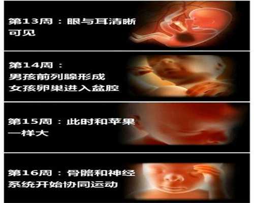 广州有没有代孕医院_三十三周早产儿饮食的量