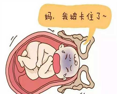 广州代孕产子价格生子_体外射精的怀孕几率大吗