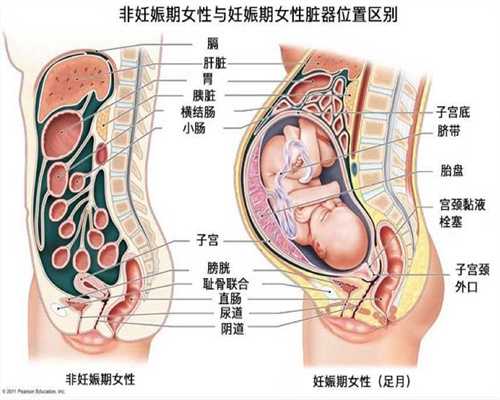 广州代孕免费咨询_两个月宝宝如何哄睡
