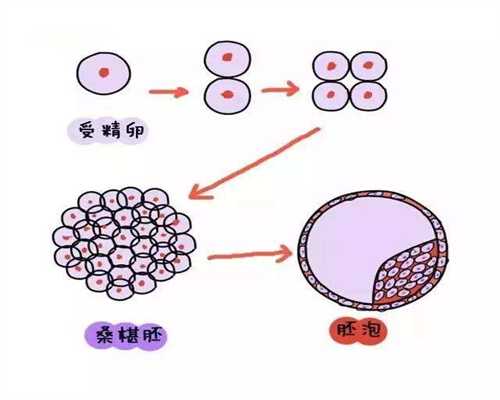 广州5A认证代孕网_刚怀孕吃什么会导致流产