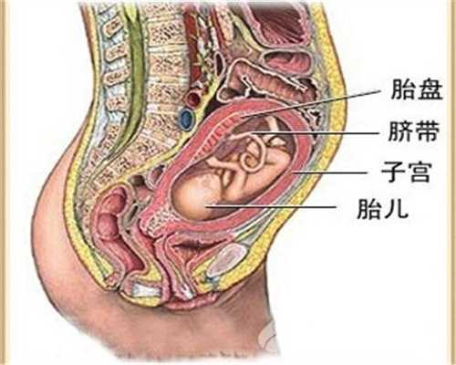 广州代孕生女孩多少钱_【宝妈每日十条·第25期】孕妇的吃吃喝喝