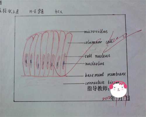 广州代孕哪里最靠谱_适合孕妇用的气垫bb霜