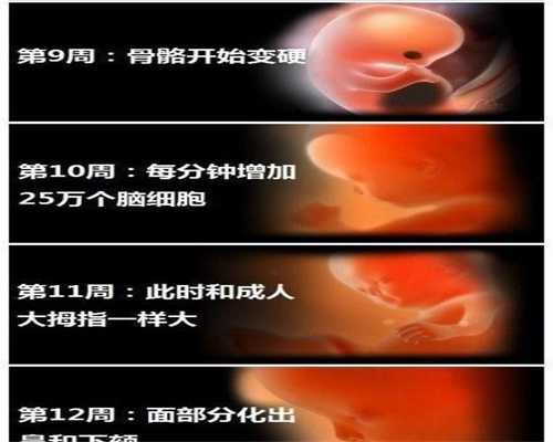 广州代怀孕生殖中心_外阴白斑早期症状有什么呢