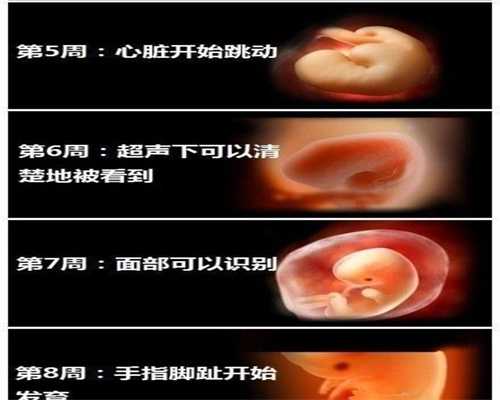 广州代生宝宝助孕机构价格_子宫息肉是瘤吗怎么区分