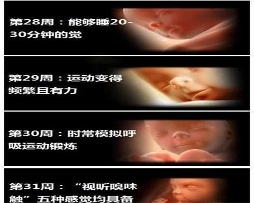 广州代孕价格多少费用_孕妇饭后不能做7件事