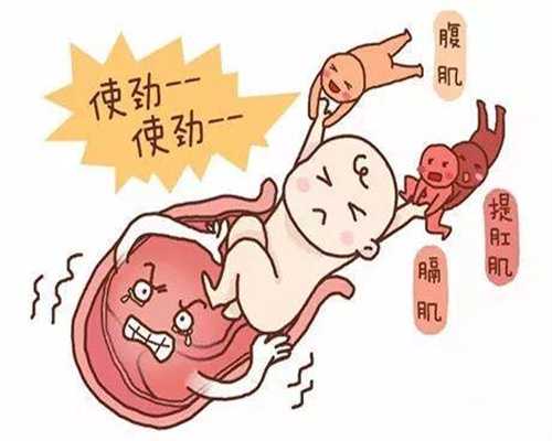 广州代孕一键咨询_代孕那个较好_代怀孕助孕
