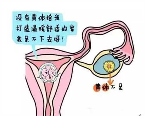 广州代孕成功率_代孕生子大概多少钱_2020年成都代孕