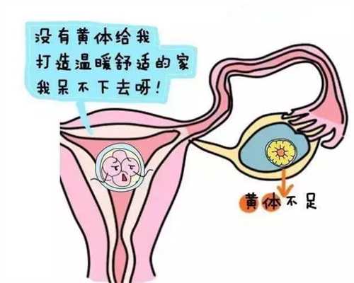 广州代孕地址_代怀孕助孕_代孕中心哪间权威