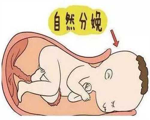 广州代孕贵吗_代孕试管大概需要多少钱_成功率高的代怀孕公司