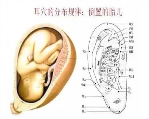 广州代孕包男孩_代孕到哪里较好_国际代孕网