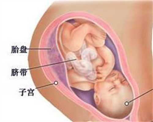 广州代孕免费咨询_专业代怀孕集团_哪里代孕孩子便宜