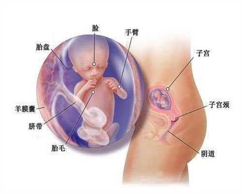 广州代孕网_2万找个女人代孕孩子_代孕孩子2020价格