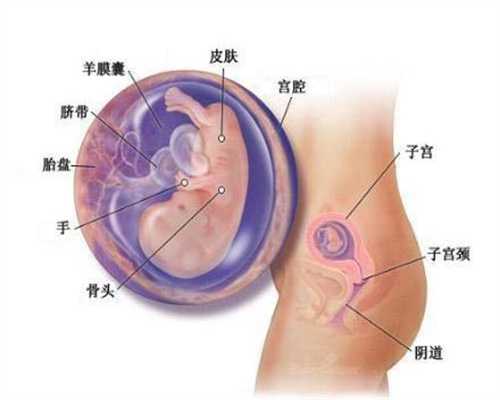 广州代孕好吗_代孕孩子的女人怎么找_代孕小孩大学生
