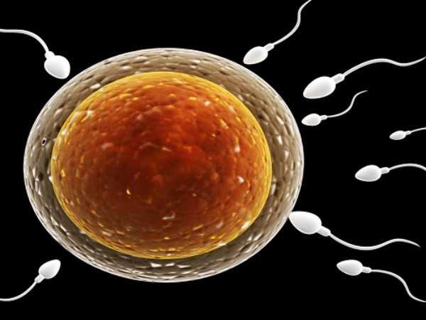 17个卵泡是多囊吗，胚胎配对成功率如何